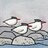 contradiction of terns